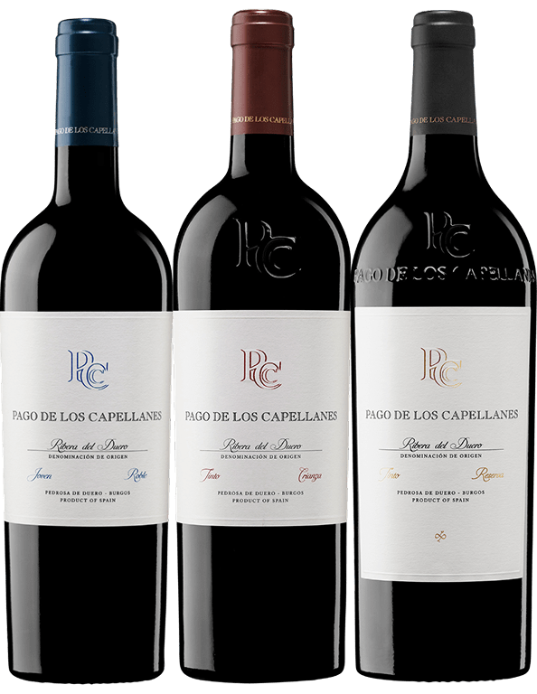 COLECCION CAPELLANES FONDO TRANSPARENTE